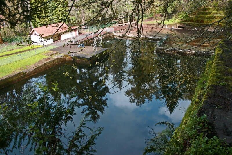 Day Tripping: Thurston County